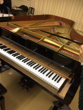 14642144_10210401331137280_2070922278565978504_n