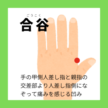 合谷は万能ツボの一つ、歯の痛みや頭痛、ニキビなど頭部の不調に
セルフケアではお灸がおすすめ
